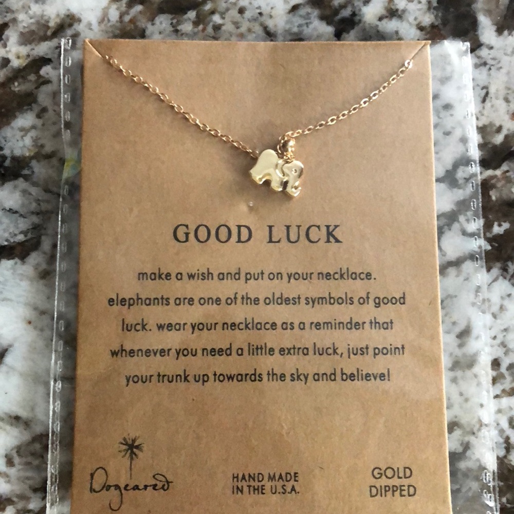 Gold Dipped Good Luck Necklace